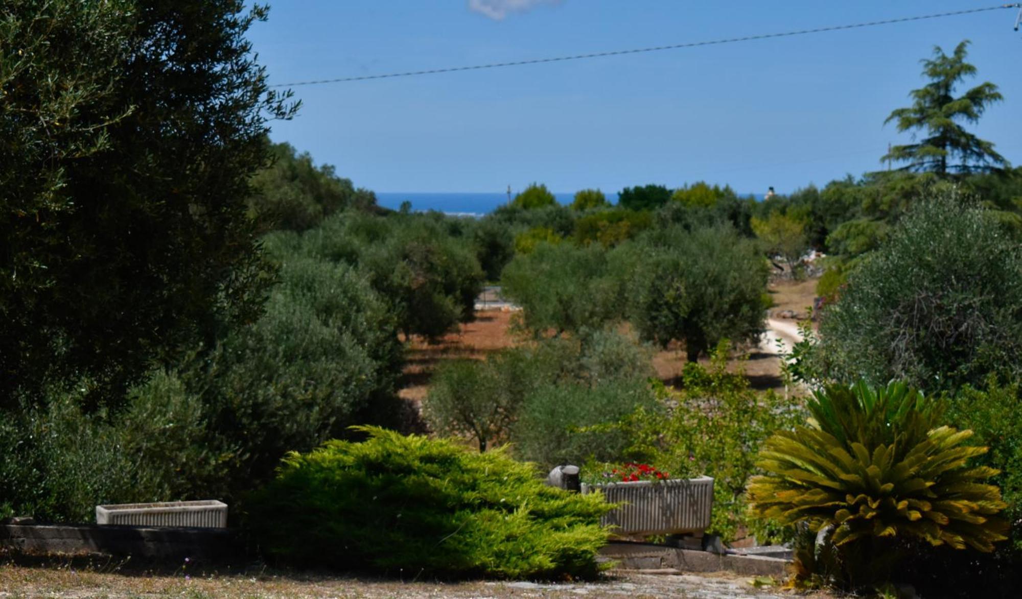 Terre D'Amore - For Couples Hotel Остуни Екстериор снимка