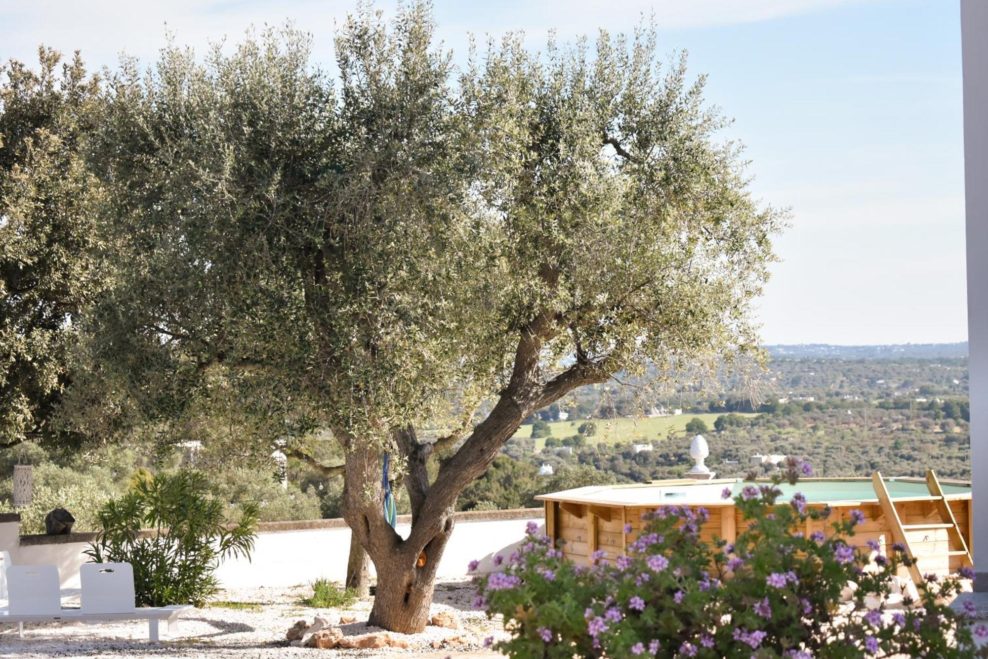 Terre D'Amore - For Couples Hotel Остуни Екстериор снимка