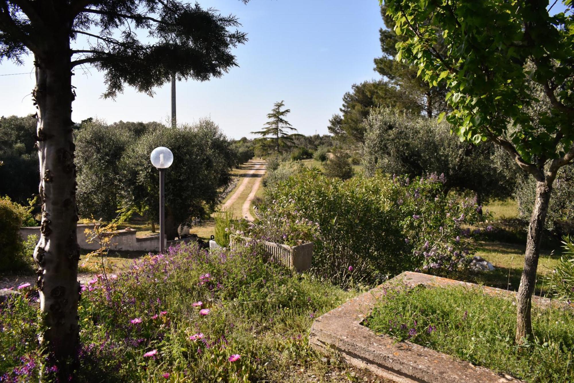 Terre D'Amore - For Couples Hotel Остуни Екстериор снимка